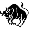 taurus-150x150